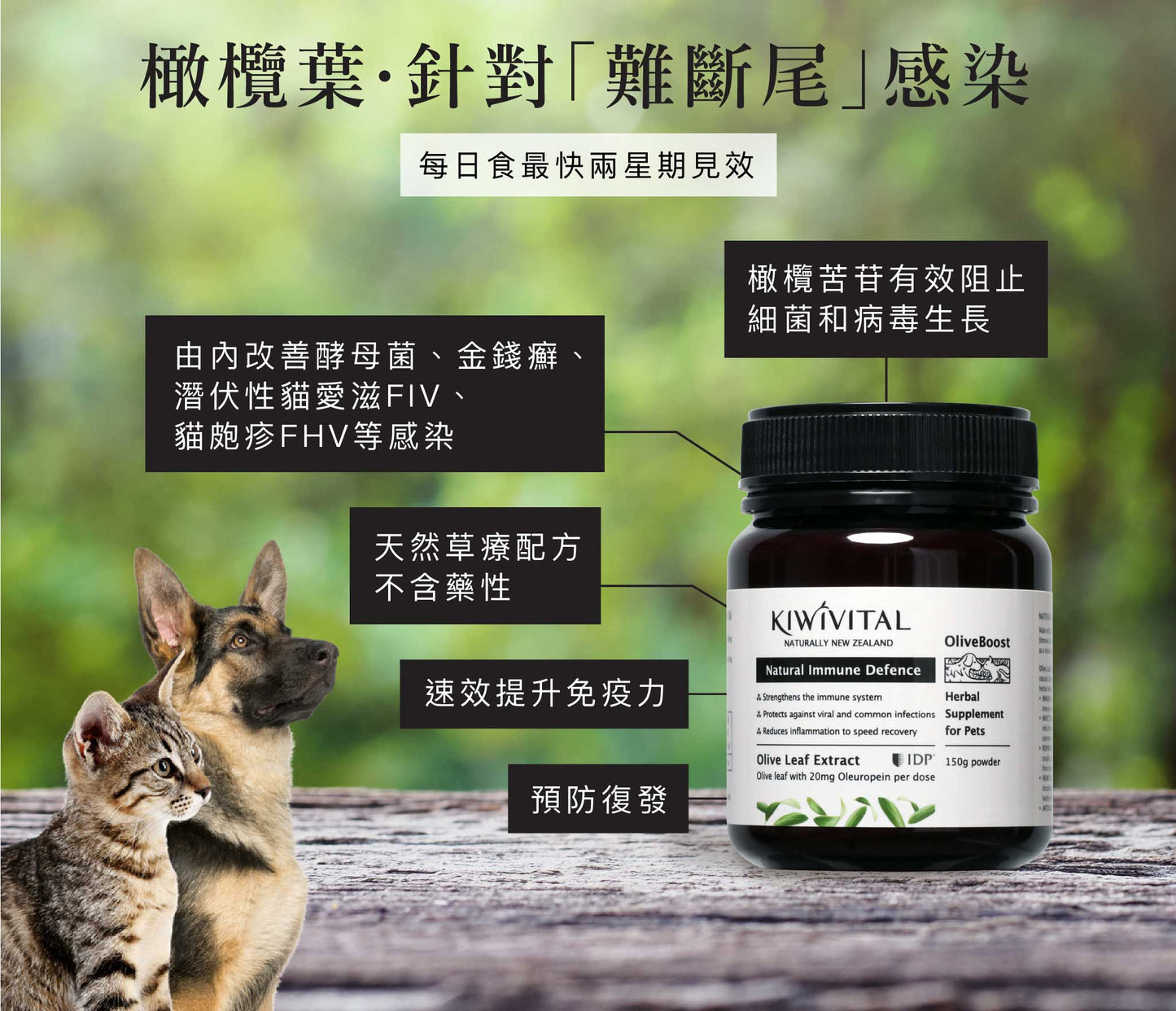 KIWIVITAL®️|Natural Immune Defence 橄欖葉草療-提升免疫力配方 貓犬用