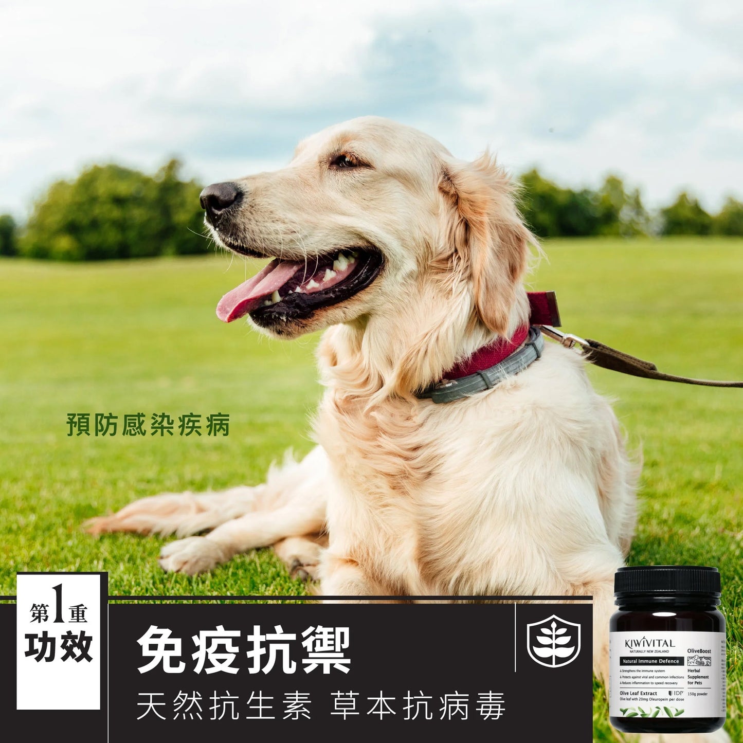 KIWIVITAL®️|Natural Immune Defence 橄欖葉草療-提升免疫力配方 貓犬用