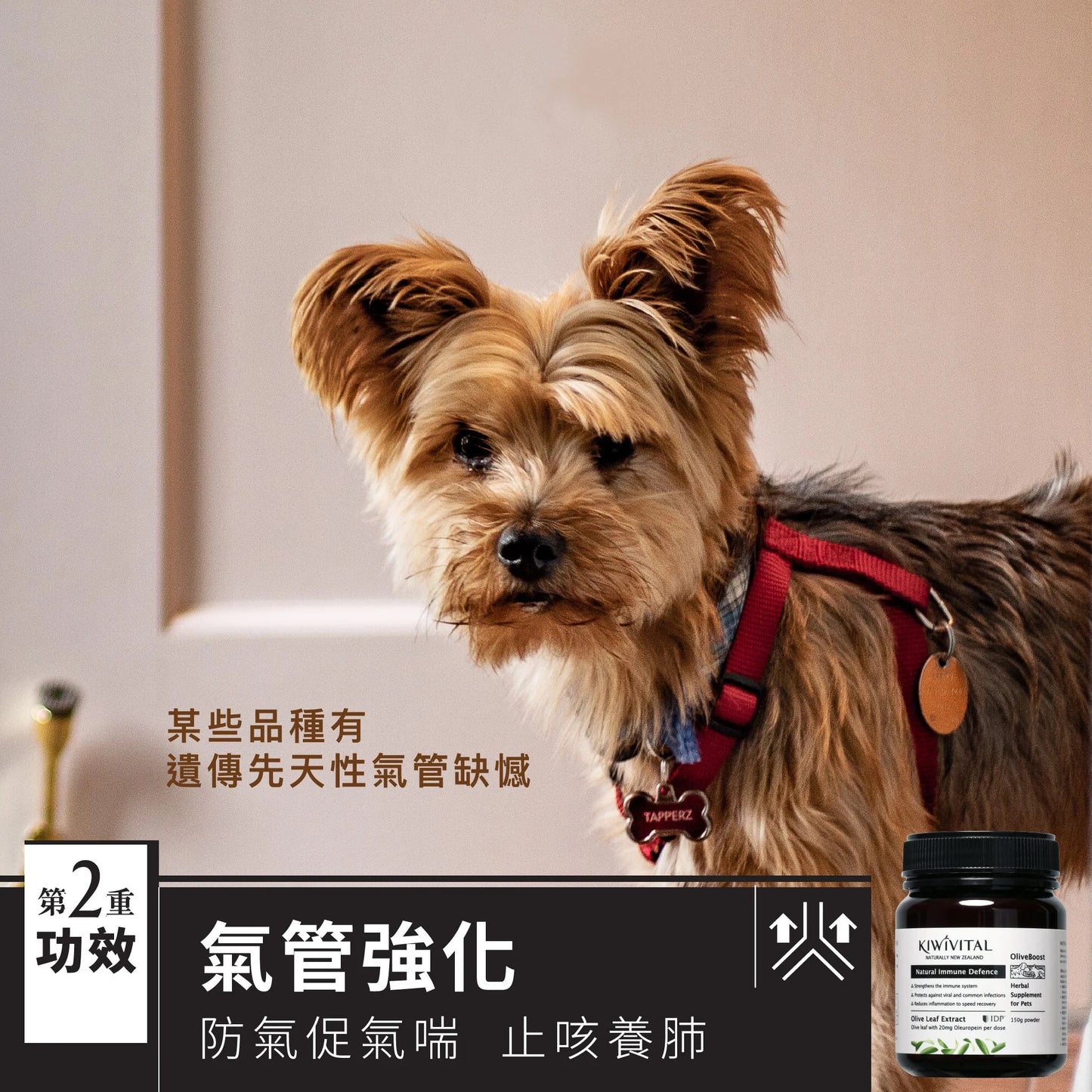KIWIVITAL®️|Natural Immune Defence 橄欖葉草療-提升免疫力配方 貓犬用