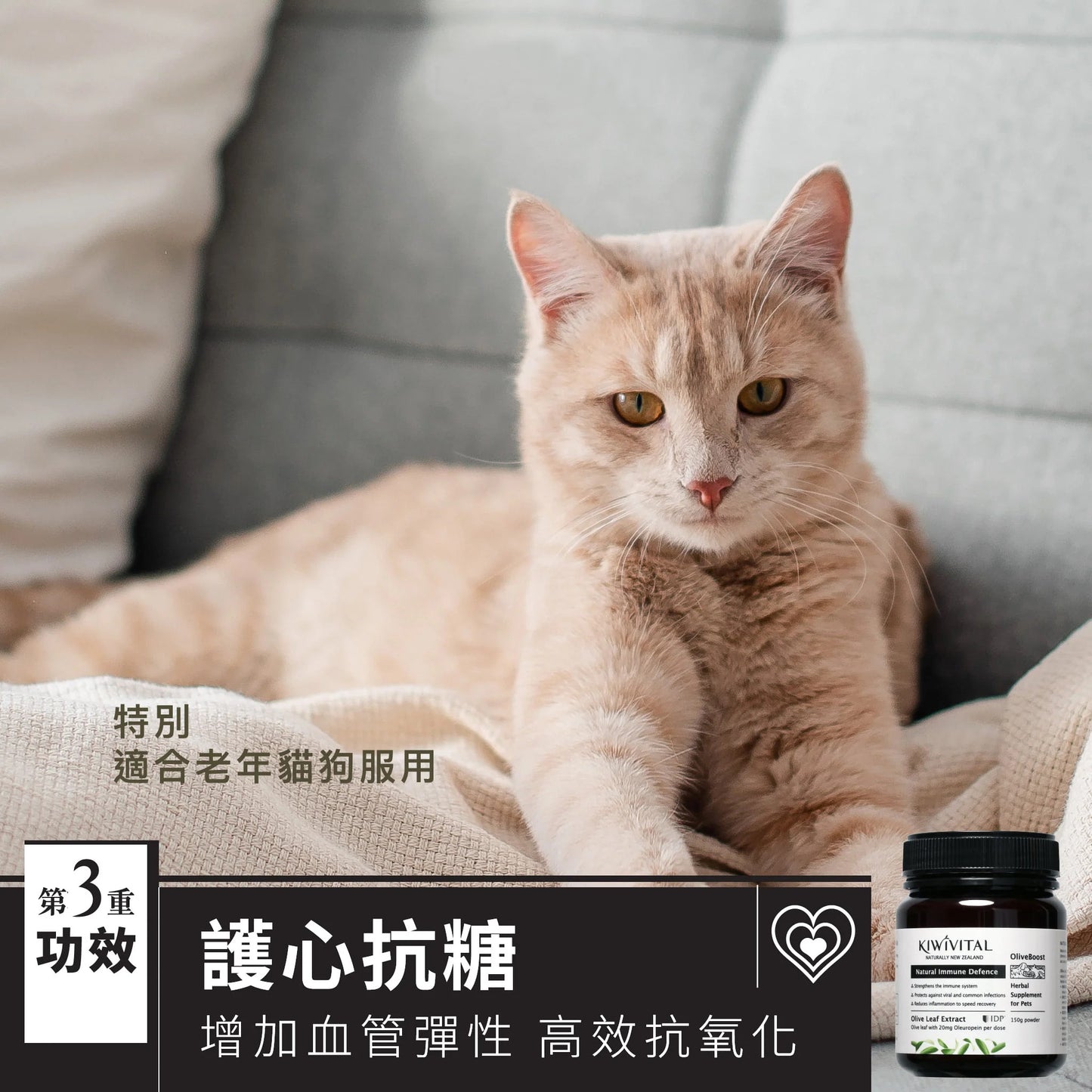 KIWIVITAL®️|Natural Immune Defence 橄欖葉草療-提升免疫力配方 貓犬用