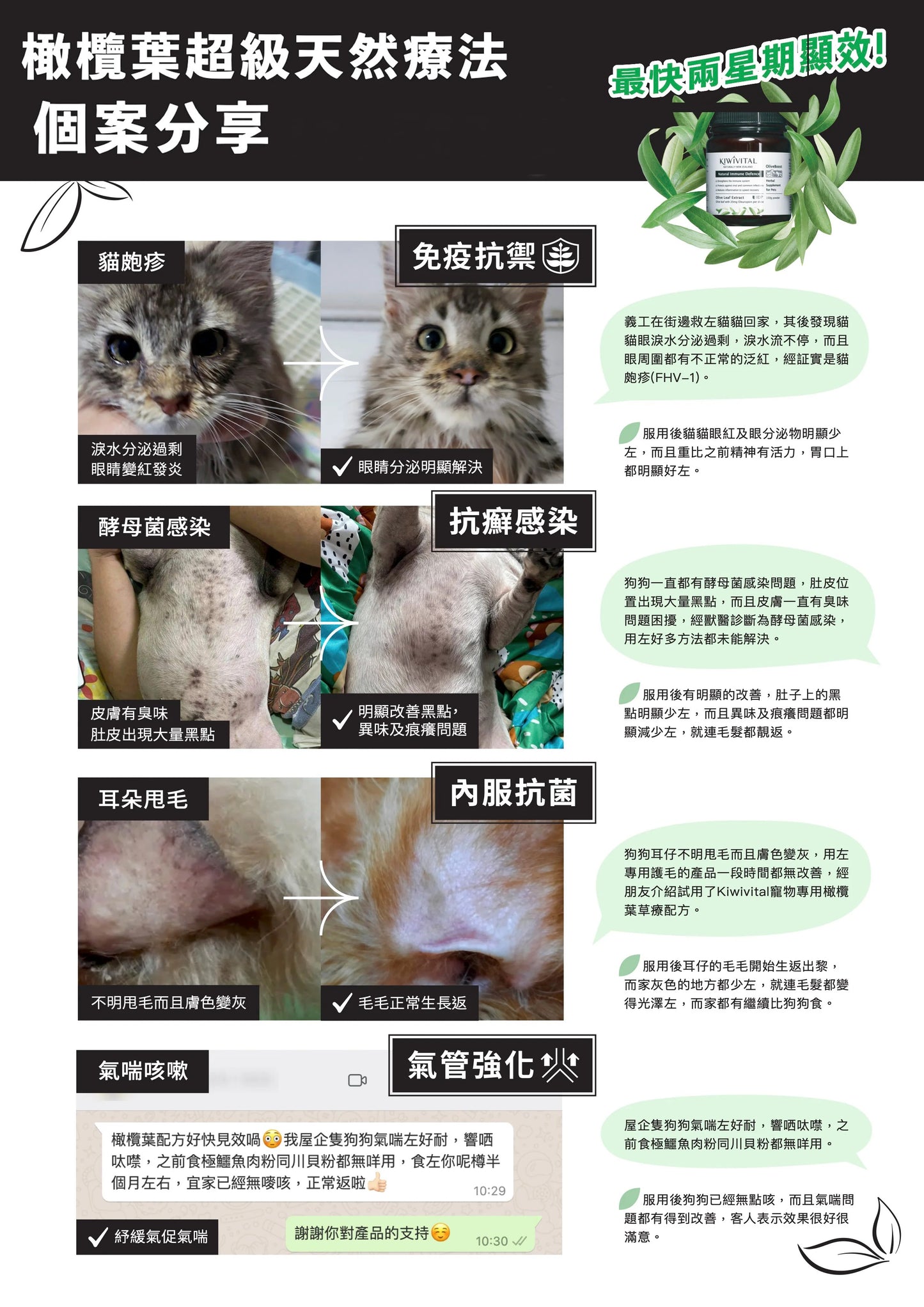 KIWIVITAL®️|Natural Immune Defence 橄欖葉草療-提升免疫力配方 貓犬用